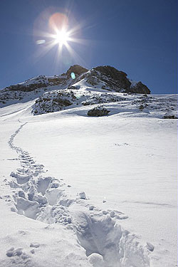 Avoriaz 1800 - Residenz Electra