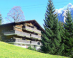 Ferienwohnung GRIN311.1