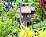 Unterkunft: Ferienhaus GRIN441.2