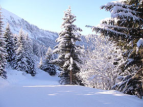 La Tania - Residenz Le Britania