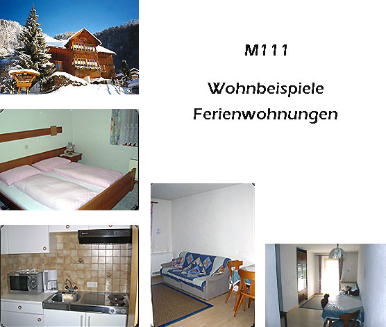 Unterkunft: Ferienwohnung M111.2