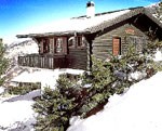 Ferienhaus NEN31