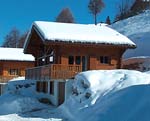 Ferienhaus NEN82