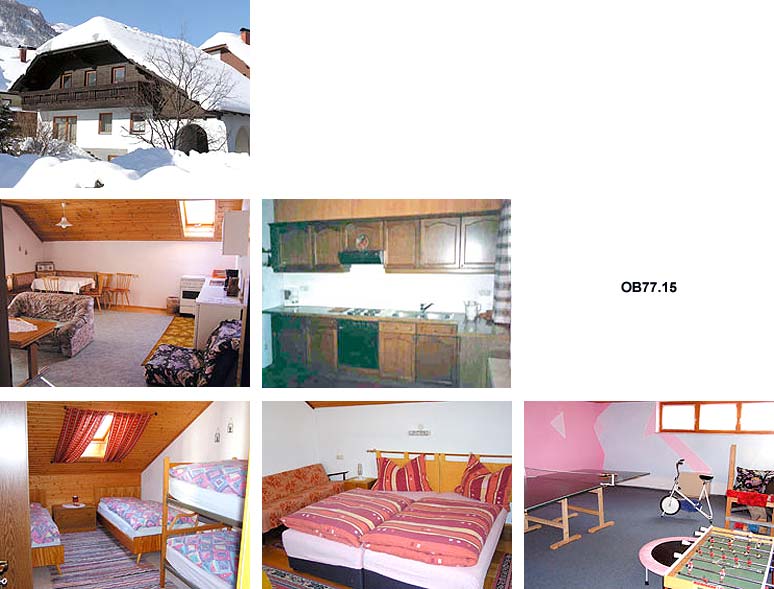 Unterkunft: Ferienwohnung OB77.15