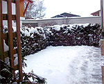 Ferienwohnung 1A_AÖ170.01