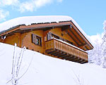 Ferienhaus OVR405.01