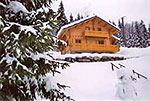 Chalet PDS77.319