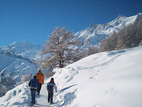 Activities & Apres Ski: Sportclub Astoria