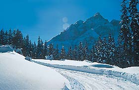 Familienreise Gasthof Windegg in Tulfes - Skigroßraum Innsbruck