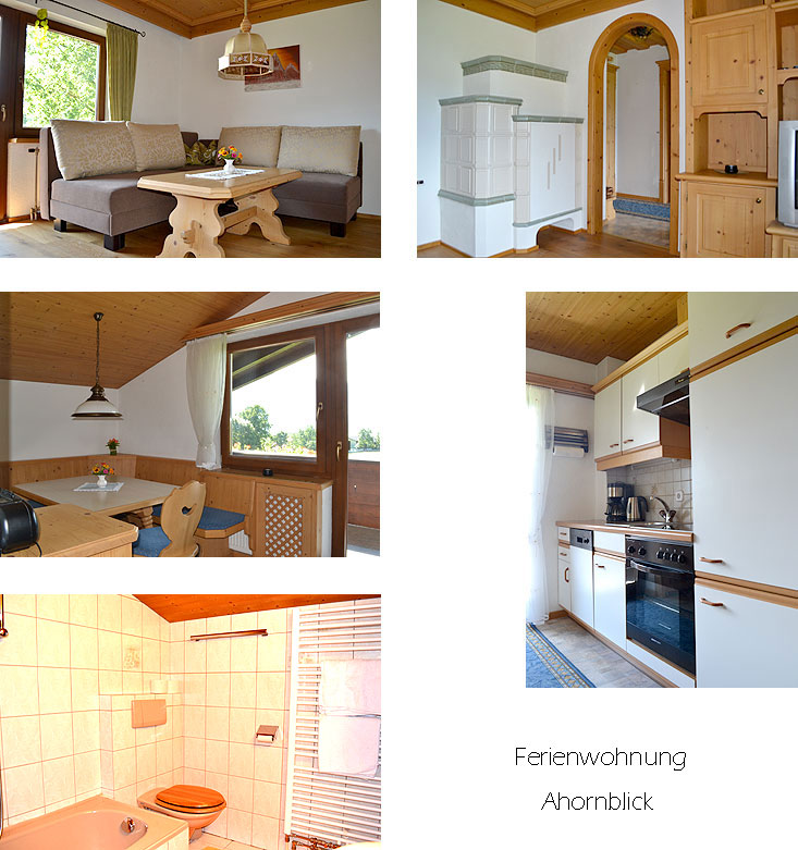 Unterkunft: Ferienwohnung Z3201.1